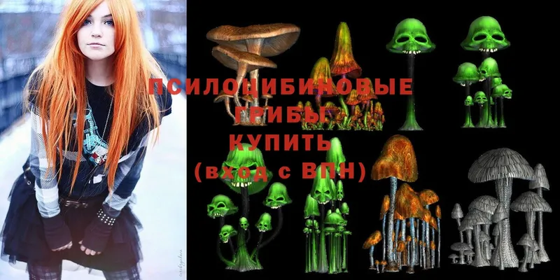 Псилоцибиновые грибы Magic Shrooms  Кировград 